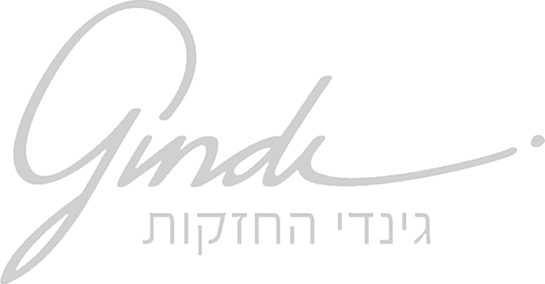לוגו-גינדי-