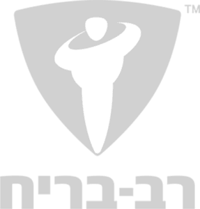 לוגו עם איור וטקסט אפור של חברת ״רב בריח״