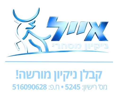 קבלן ניקיון מורשה! (1)